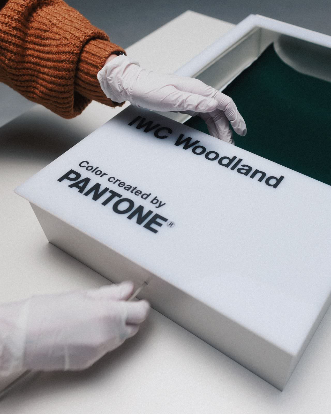 Aufwendiges Setdesign für Elaborate set design for a studio production by the video production company quadratkollektiveine Studioproduktion von der Videoproduktionsfirma quadratkollektiv / Elaborate set design for a studio production by the video production company quadratkollektiv